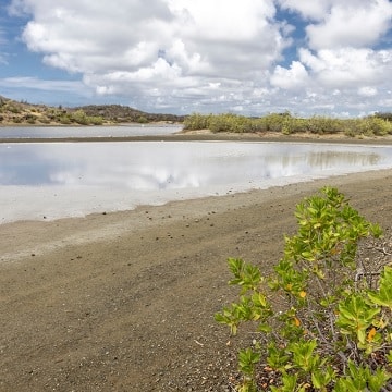 Zoutpannen bezienswaardigheid Curaçao